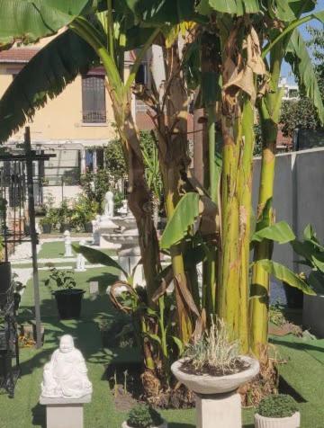 Chambre Solo Duo 20 Min Paris Drancy Ngoại thất bức ảnh
